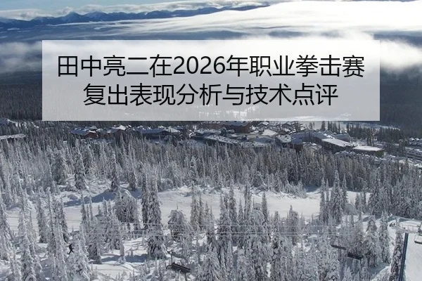 田中亮二在2026年职业拳击赛复出表现分析与技术点评