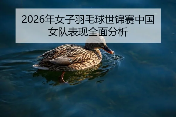 2026年女子羽毛球世锦赛中国女队表现全面分析