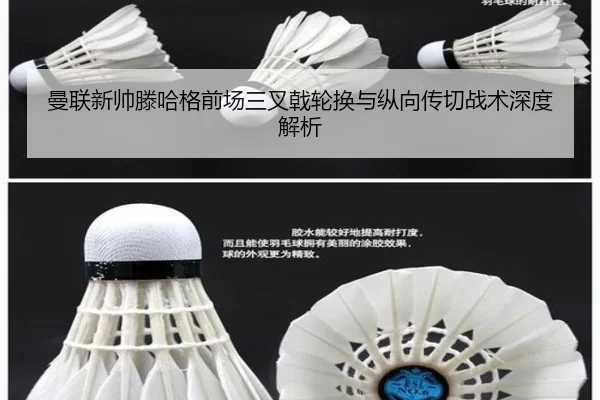 man-lian-xin-shuai-teng-ha-ge-qian-chang-san-cha-ji-lun-huan-yu-zong-xiang-chuan-qie-zhan-shu-shen-du-jie-xi-2-215.jpg