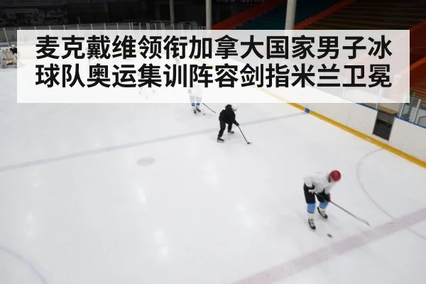 ice hockey rink